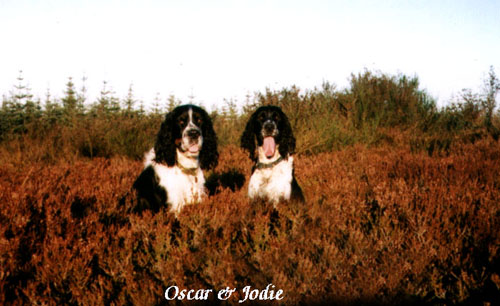 Oscar and Jodie 