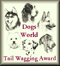 Tail Wager Award